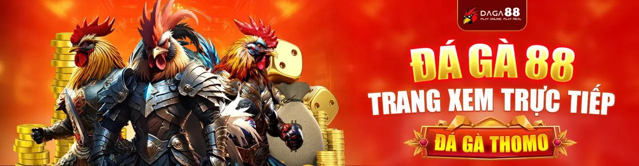 Cá cược thể thao sôi động tại 55win55 Casino
