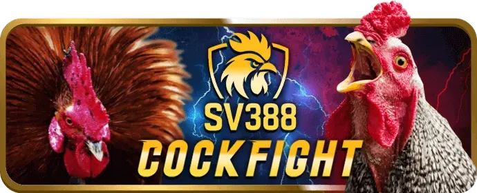 Tin tức và cập nhật mới nhất 55win55 casino